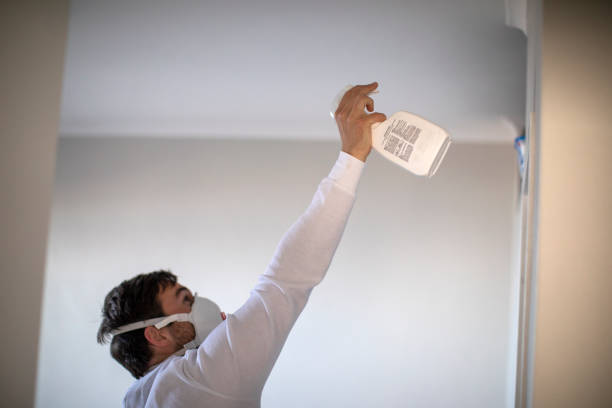Best Office Mold Removal Services  in Memphis, MO